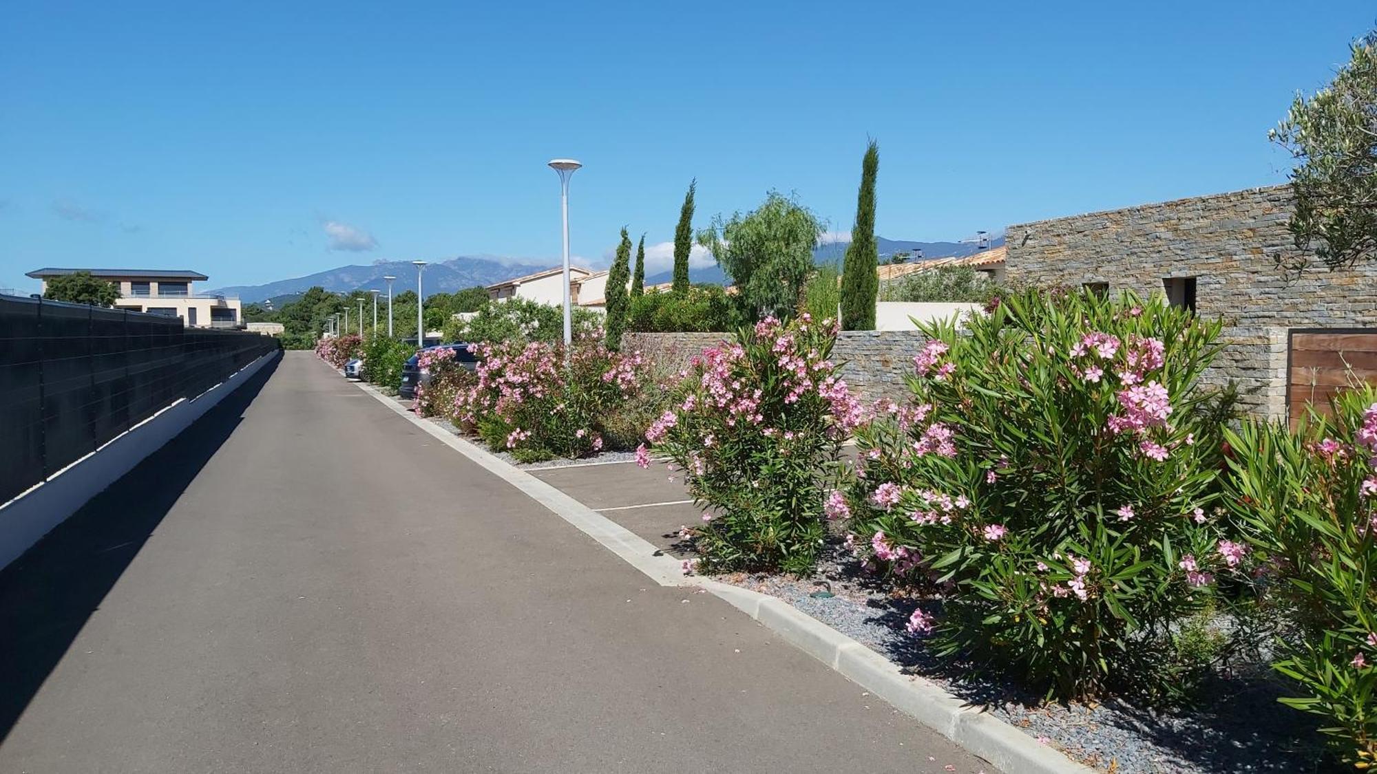 Villa Home Holiday A Cala Rossa Lecci Exterior photo